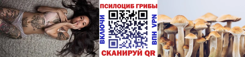 Псилоцибиновые грибы мицелий  Зерноград 